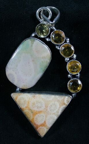 Fossil Coral Sunburst Pendant #8262